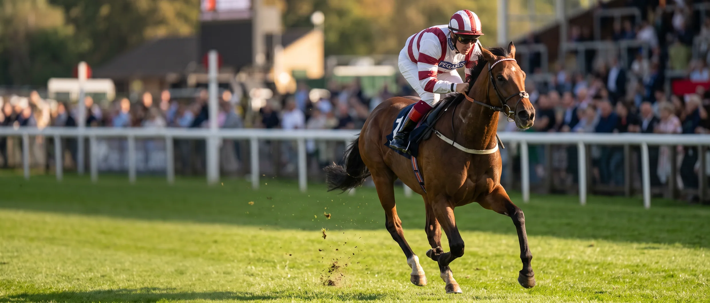 Jockey agachado sobre el cuello del caballo en carrera
